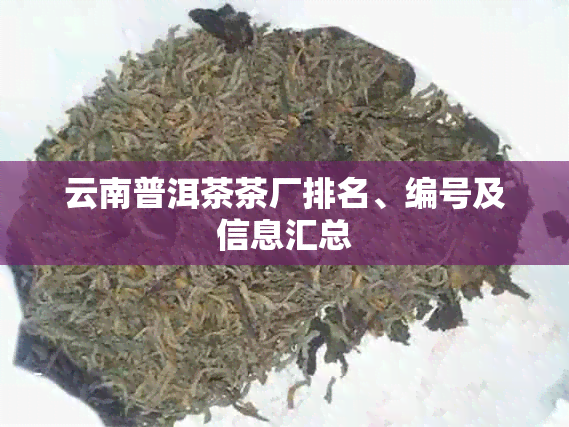 云南普洱茶茶厂排名、编号及信息汇总