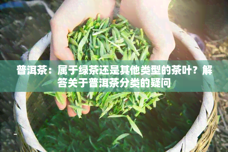 普洱茶：属于绿茶还是其他类型的茶叶？解答关于普洱茶分类的疑问