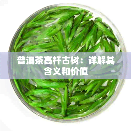 普洱茶高杆古树：详解其含义和价值