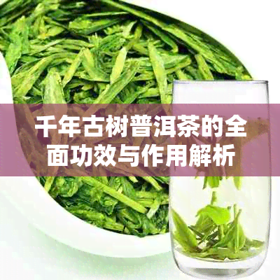 千年古树普洱茶的全面功效与作用解析