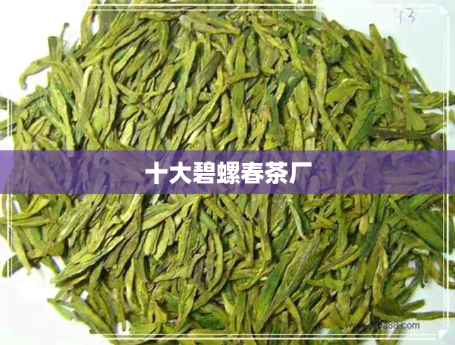 十大碧螺春茶厂