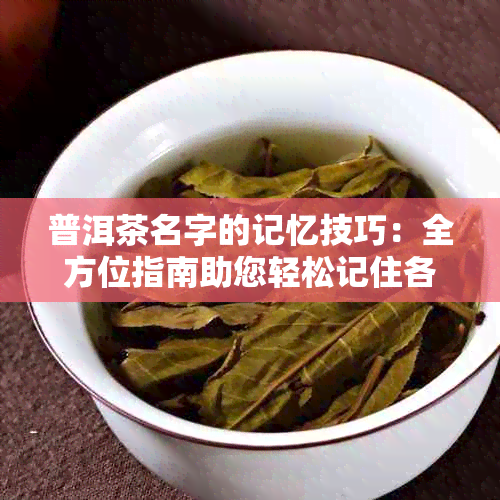 普洱茶名字的记忆技巧：全方位指南助您轻松记住各种普洱茶叶名称