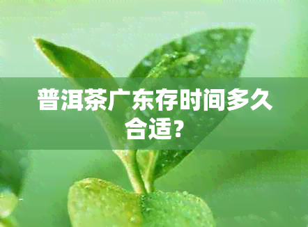 普洱茶广东存时间多久合适？