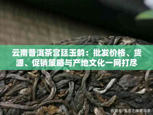 云南普洱茶宫廷玉韵：批发价格、货源、促销策略与产地文化一网打尽