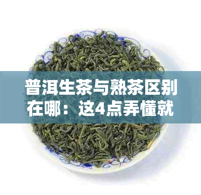 普洱生茶与熟茶区别在哪：这4点弄懂就够了！