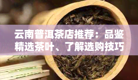 云南普洱茶店推荐：品鉴精选茶叶、了解选购技巧与泡茶方法的全方位指南