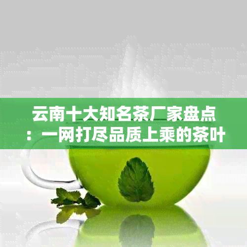 云南十大知名茶厂家盘点：一网打尽品质上乘的茶叶，让你喝出真正的好茶