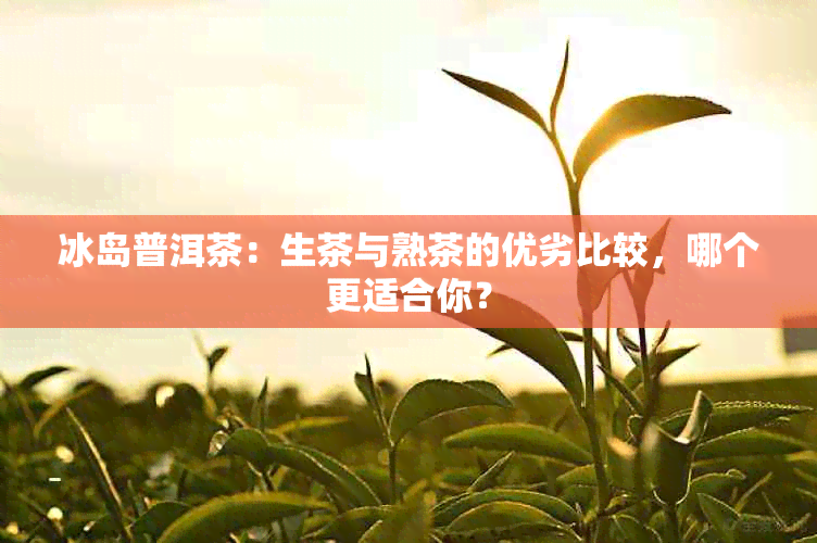 冰岛普洱茶：生茶与熟茶的优劣比较，哪个更适合你？