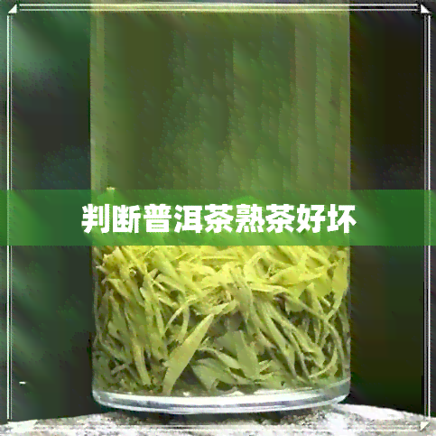 判断普洱茶熟茶好坏