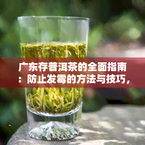 广东存普洱茶的全面指南：防止发霉的方法与技巧，确保茶叶品质和安全