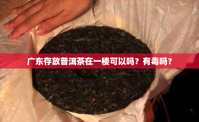 广东存放普洱茶在一楼可以吗？有吗？