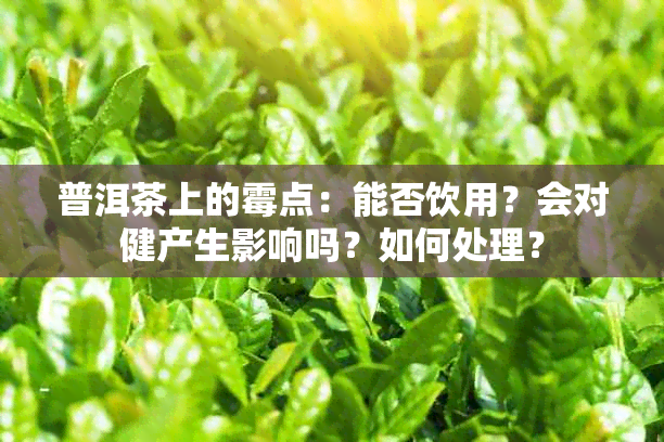 普洱茶上的霉点：能否饮用？会对健产生影响吗？如何处理？