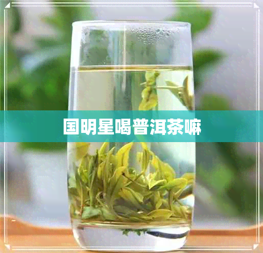 国明星喝普洱茶嘛