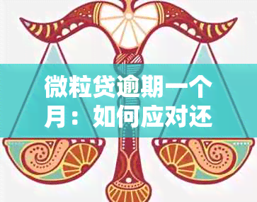 微粒贷逾期一个月：如何应对还款压力以及一次性还清的必要性