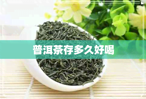 普洱茶存多久好喝