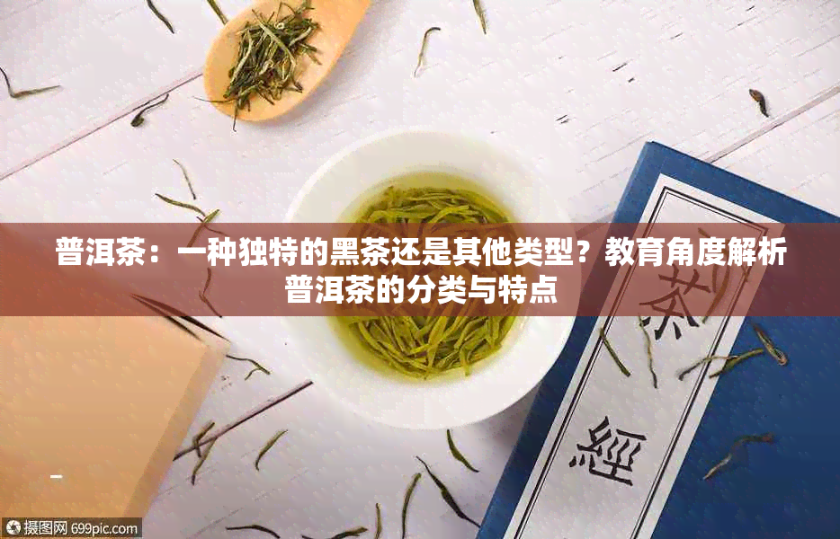 普洱茶：一种独特的黑茶还是其他类型？教育角度解析普洱茶的分类与特点