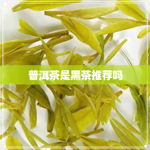 普洱茶是黑茶推荐吗