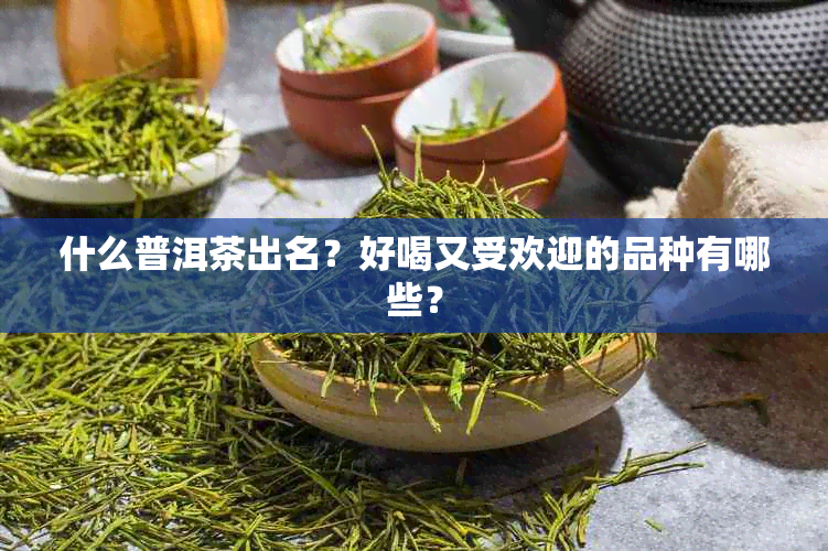 什么普洱茶出名？好喝又受欢迎的品种有哪些？