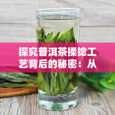 探究普洱茶揉捻工艺背后的秘密：从原料到口感的完美转变