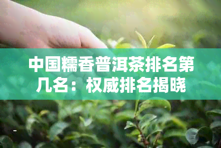 中国糯香普洱茶排名第几名：权威排名揭晓