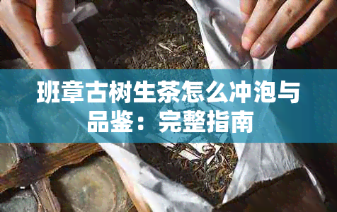 班章古树生茶怎么冲泡与品鉴：完整指南