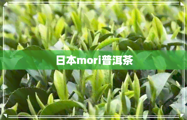 mori普洱茶