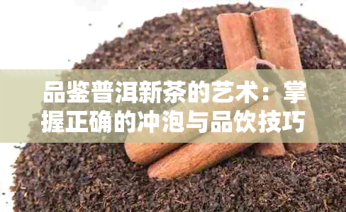 品鉴普洱新茶的艺术：掌握正确的冲泡与品饮技巧