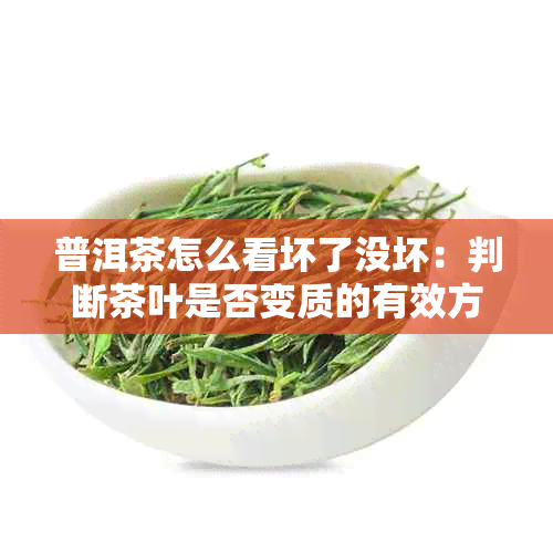 普洱茶怎么看坏了没坏：判断茶叶是否变质的有效方法