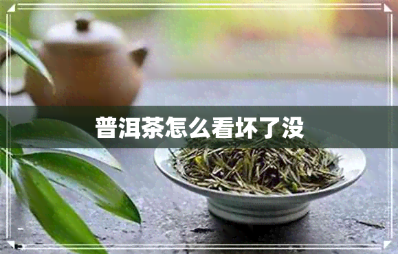 普洱茶怎么看坏了没