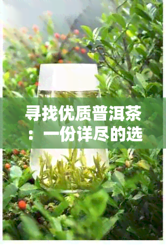 寻找优质普洱茶：一份详尽的选购指南