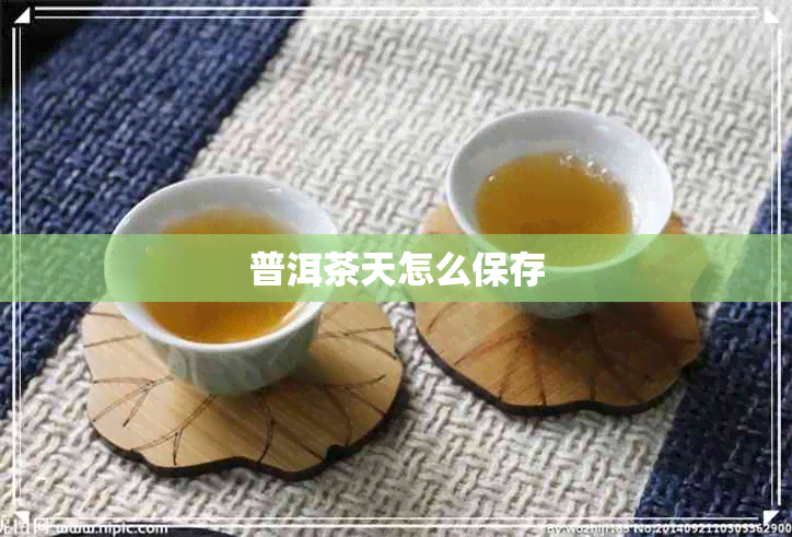 普洱茶天怎么保存