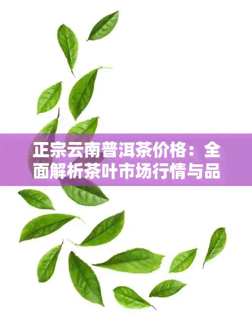 正宗云南普洱茶价格：全面解析茶叶市场行情与品质参考