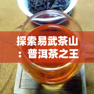 探索易武茶山：普洱茶之王的诞生之地