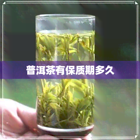 普洱茶有保质期多久