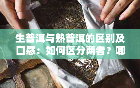 生普洱与熟普洱的区别及口感：如何区分两者？哪个更好？