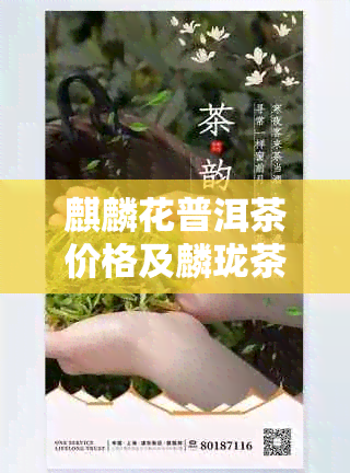 麒麟花普洱茶价格及麟珑茶室推荐品种