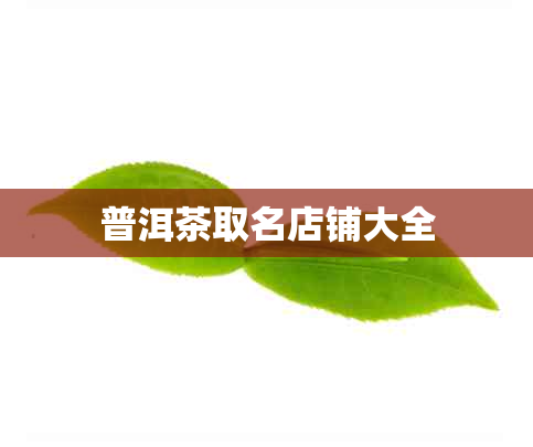 普洱茶取名店铺大全