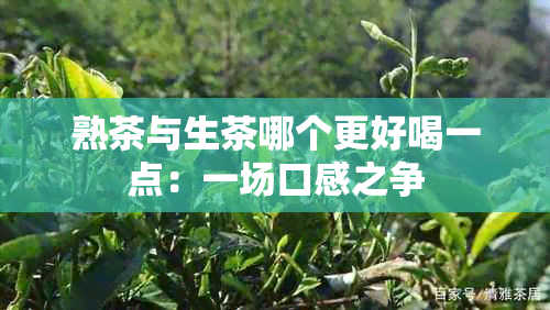 熟茶与生茶哪个更好喝一点：一场口感之争