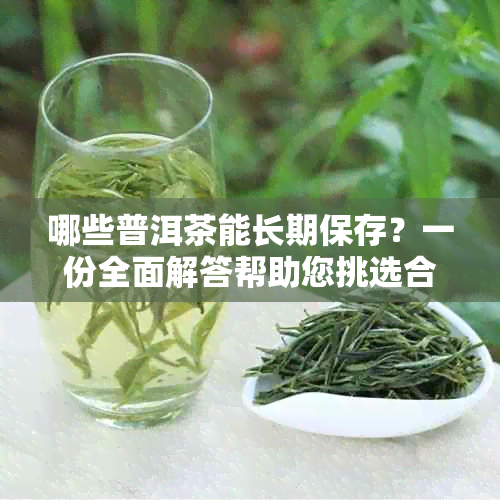 哪些普洱茶能长期保存？一份全面解答帮助您挑选合适的茶品