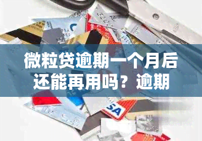 微粒贷逾期一个月后还能再用吗？逾期一个月的后果是什么？