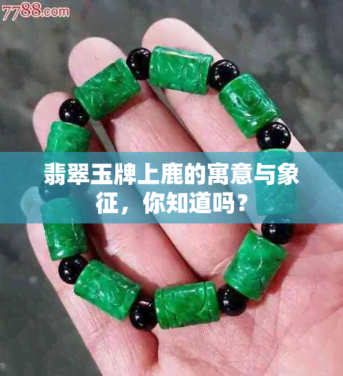 翡翠玉牌上鹿的寓意与象征，你知道吗？