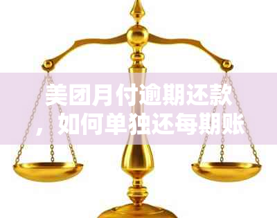 美团月付逾期还款，如何单独还每期账单？处理方法全解析