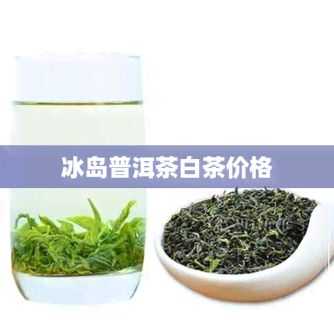 冰岛普洱茶白茶价格