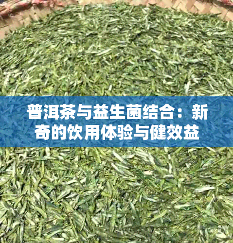 普洱茶与益生菌结合：新奇的饮用体验与健效益