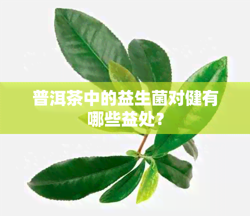 普洱茶中的益生菌对健有哪些益处？