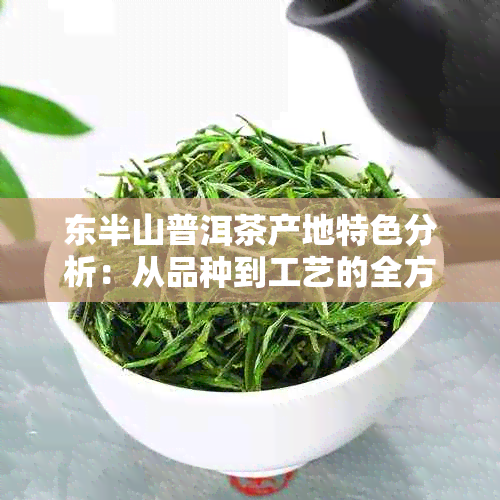 东半山普洱茶产地特色分析：从品种到工艺的全方位解读