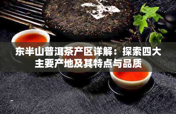 东半山普洱茶产区详解：探索四大主要产地及其特点与品质