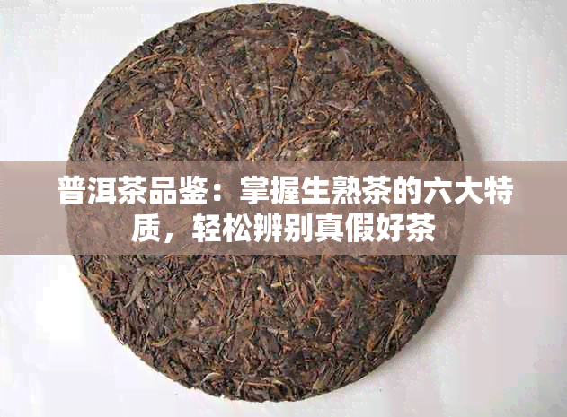 普洱茶品鉴：掌握生熟茶的六大特质，轻松辨别真假好茶