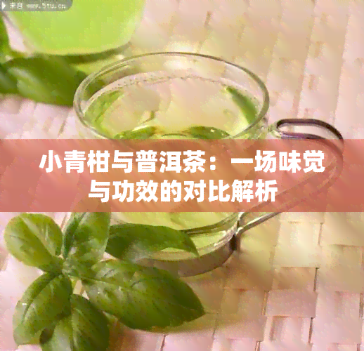 小青柑与普洱茶：一场味觉与功效的对比解析