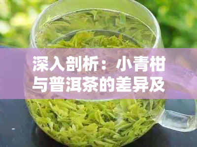 深入剖析：小青柑与普洱茶的差异及其各自特点，助你轻松辨别与品鉴